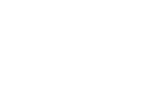 LUA Wedding Agency